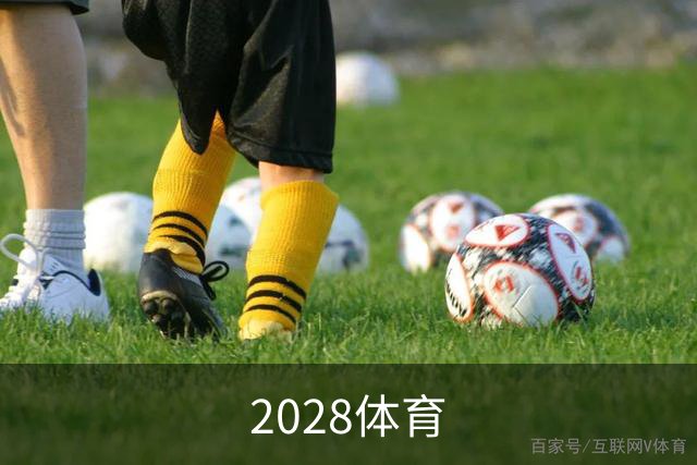 关于2028体育